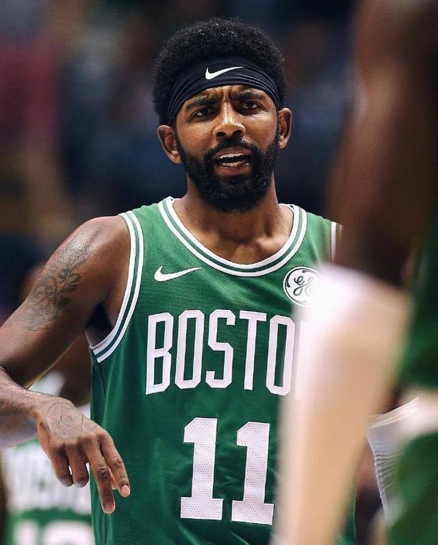 引进科曼目 引进科曼目